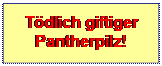 Textfeld: Tdlich giftiger Pantherpilz!
 
