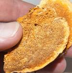 LeuchtenderWeichpoling4