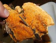 LeuchtenderWeichpoling3