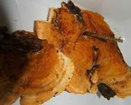 LeuchtenderWeichpoling