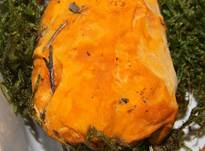 LeuchtenderWeichpoling8