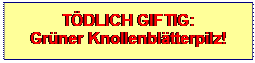 Textfeld: TDLICH GIFTIG:           Grner Knollenbltterpilz!
 
