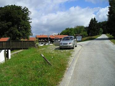 Pilzwaldaufnahmen222