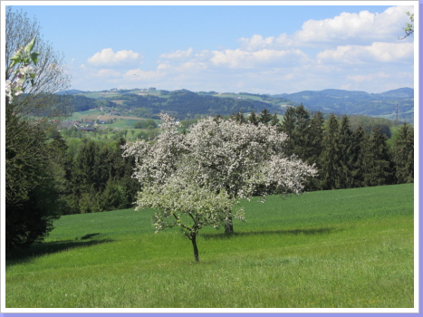 Landschaft am Donausteig Landschaft am Donausteig