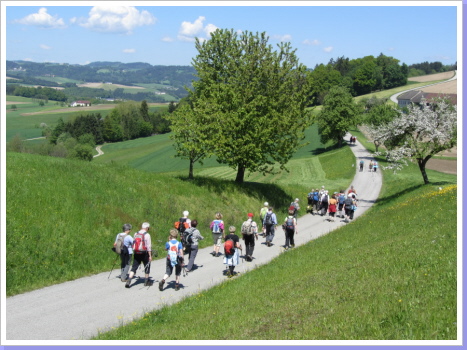 Landschaft am Donausteig Landschaft am Donausteig