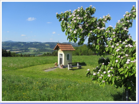 Kapelle am Donausteig Kapelle am Donausteig