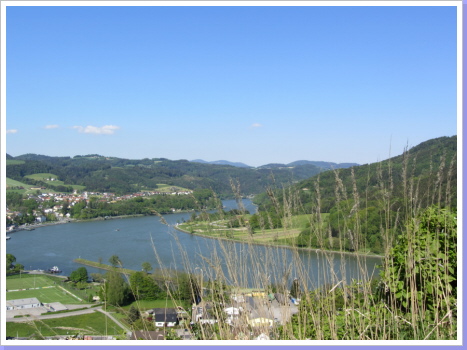 Donau im Strudengau bei Grein Donau im Strudengau bei Grein