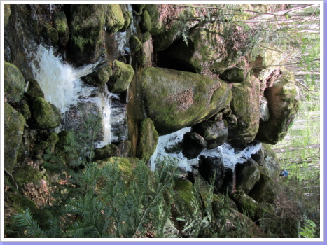 In der Ysperklamm In der Ysperklamm