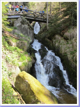 In der Ysperklamm In der Ysperklamm