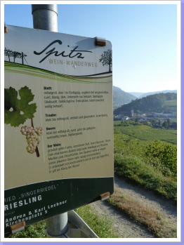 Tag 1 Wachau Tag 1 Wachau