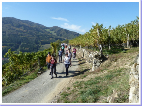 Tag 2 Wachau Tag 2 Wachau