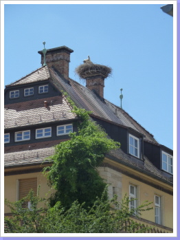 Forchheim Storchennest Forchheim Storchennest
